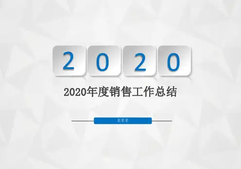 2020年度销售工作总结PPT