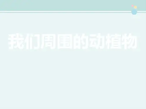 精选 《我们周围的动植物》参考完整教学课件PPT
