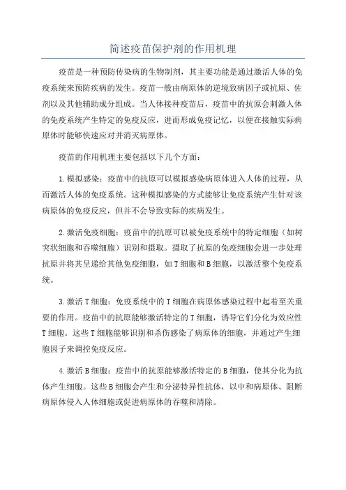 简述疫苗保护剂的作用机理