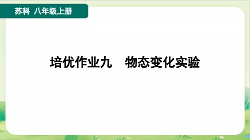 2024年苏科版八年级上册物理培优作业九 物态变化实验