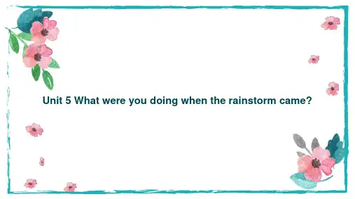 Unit 5 What were you doing when the rainstorm came 人教版英语八年级下册复习课件(共48张PPT)