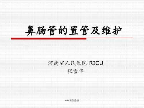鼻肠管的护理