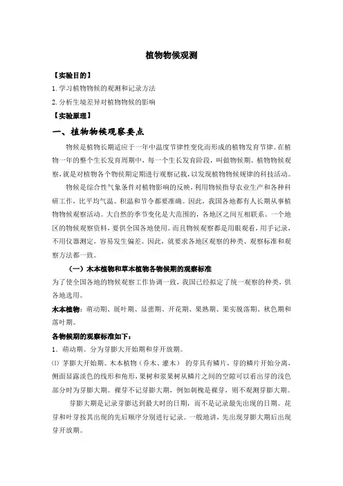 植物物候观测