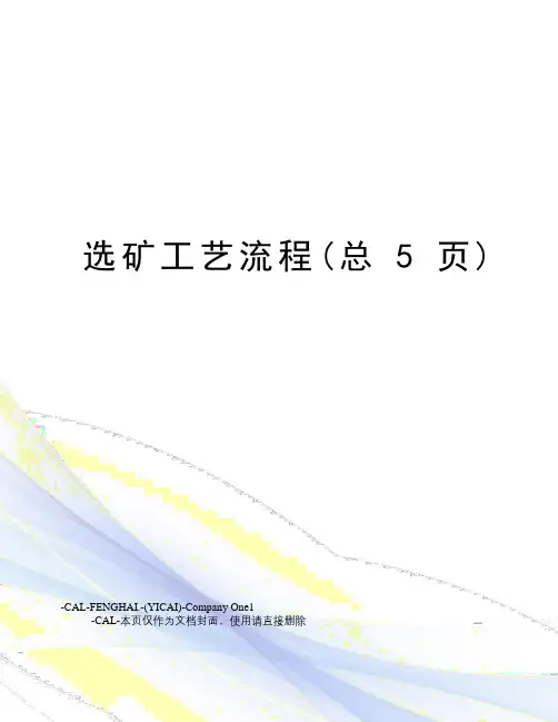 选矿工艺流程(总5页)