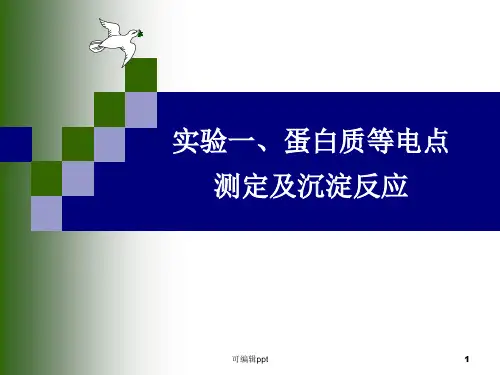 实验蛋白质的等电点测定和沉淀反应
