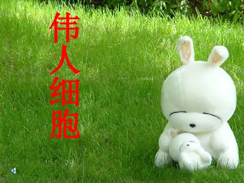 9伟人细胞PPT课件