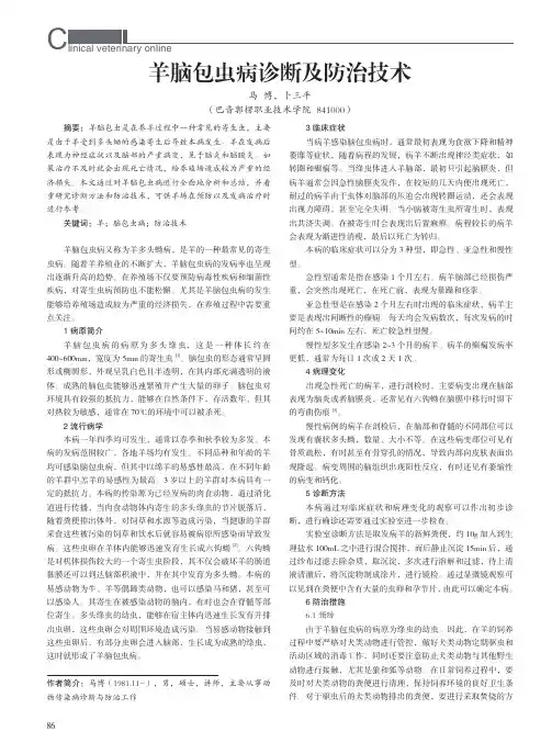 羊脑包虫病诊断及防治技术