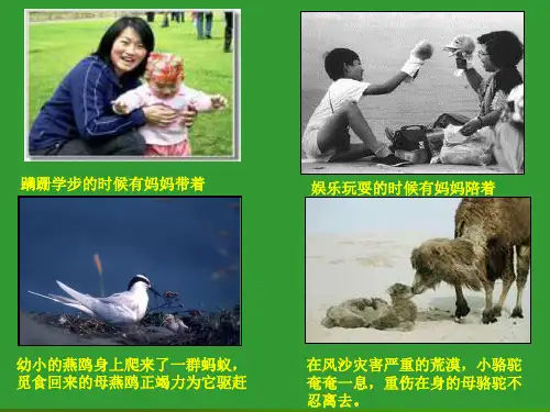 《七子之歌》