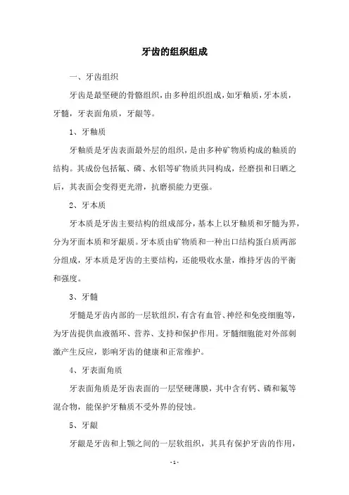 牙齿的组织组成