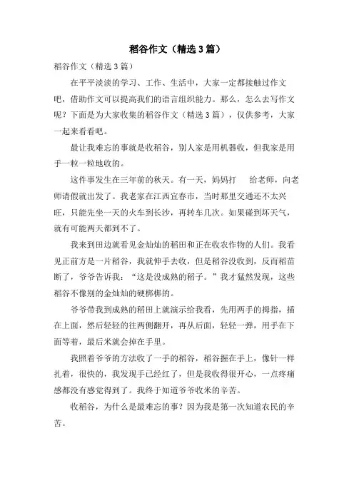稻谷作文(3篇)