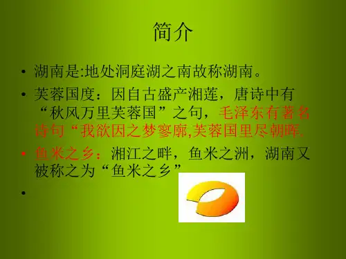 湖南历史文化PPT课件
