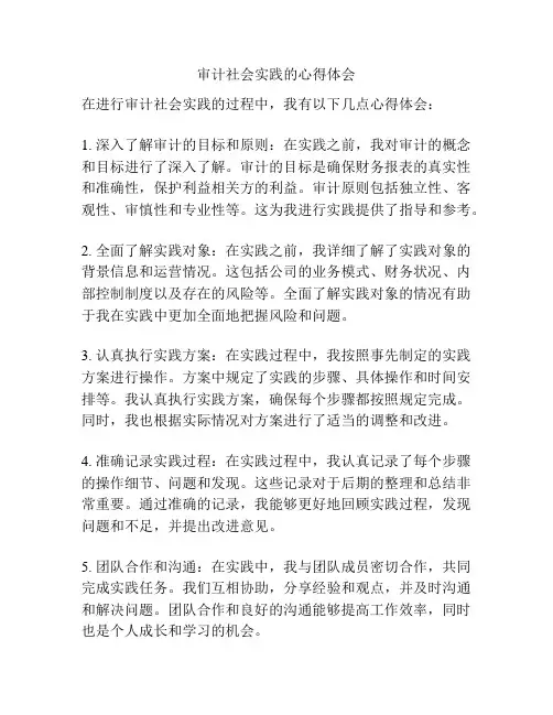审计社会实践的心得体会