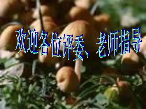 八年级生物细菌-真菌和病毒