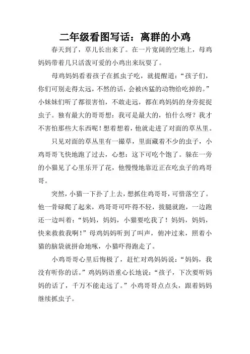 二年级看图写话：离群的小鸡