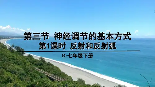 《反射和反射弧》PPT课件【精品】