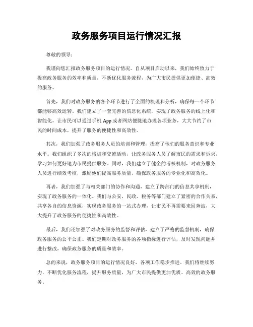 政务服务项目运行情况汇报