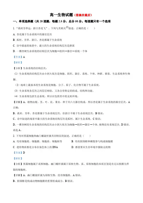 湖南省长沙市2024-2025学年高一上学期第一次月考生物试题含答案