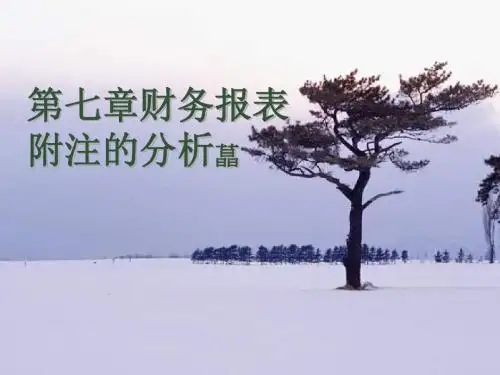 第七章财务报表附注的分析