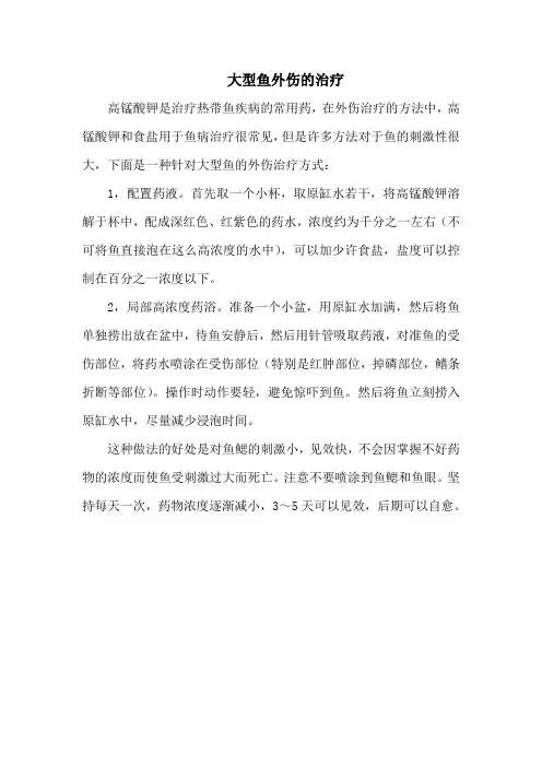 大型鱼外伤的治疗
