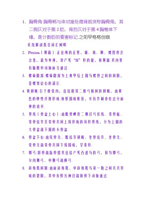 系统解剖学名词解释(重点解释)(免费)