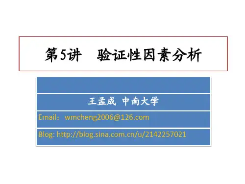 验证性因素分析