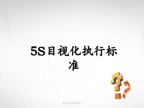 S目视化执行标准
