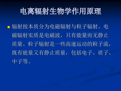 2.放射基础