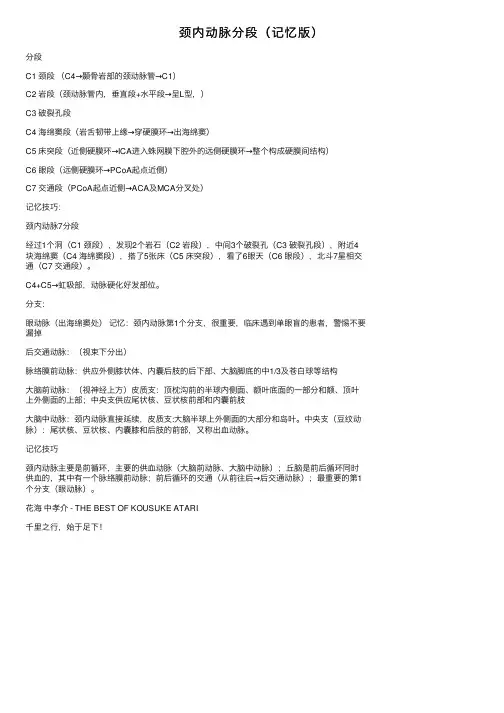 颈内动脉分段（记忆版）