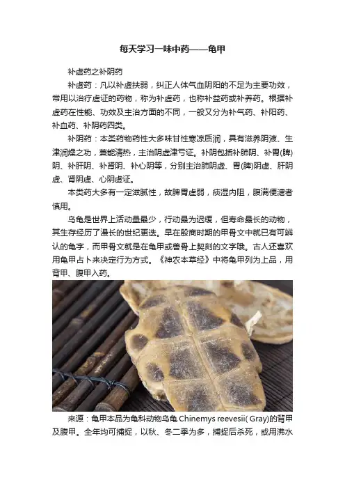 每天学习一味中药——龟甲