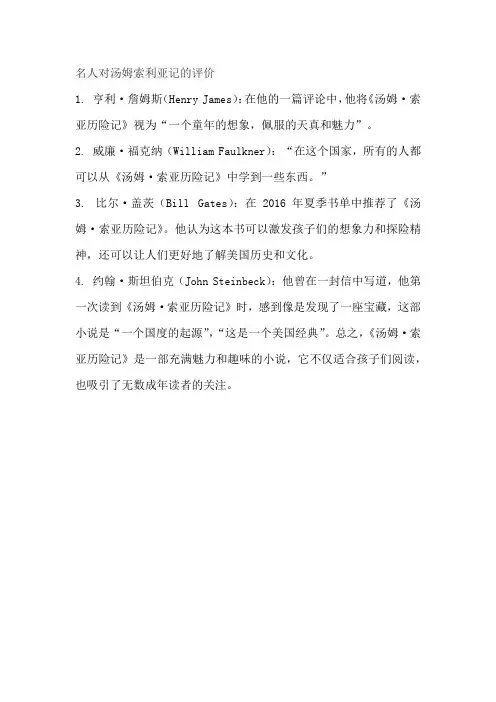 名人对汤姆索利亚记的评价