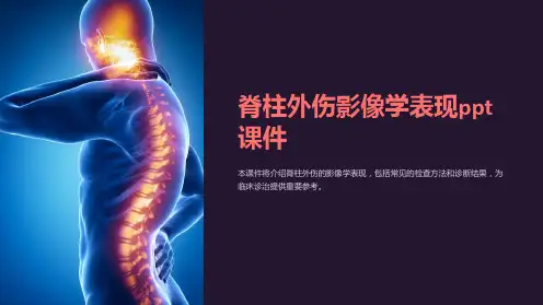 脊柱外伤影像学表现课件