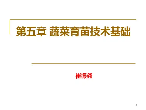 蔬菜育苗技术基础