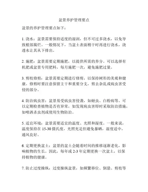 盆景养护管理要点