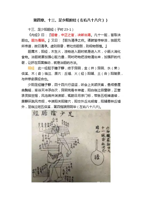 第四章、十三、足少阳胆经（左右八十八穴））