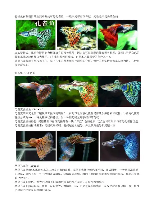 孔雀鱼