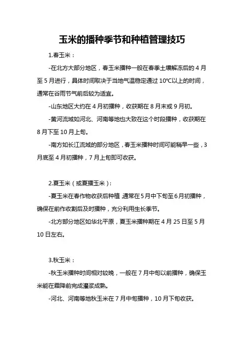 玉米的播种季节和种植管理技巧