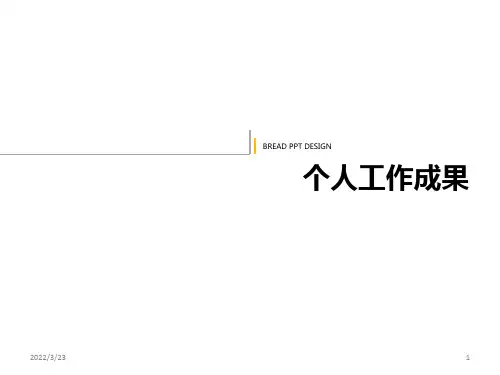 个人工作成果PPT课件