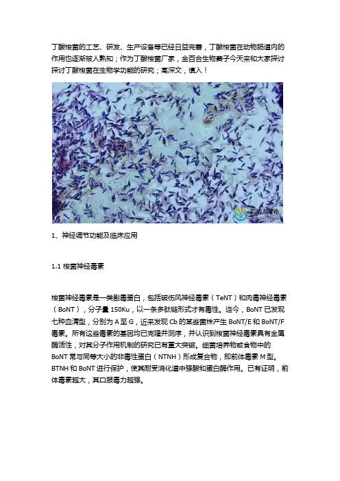 丁酸梭菌的生物学功能研究