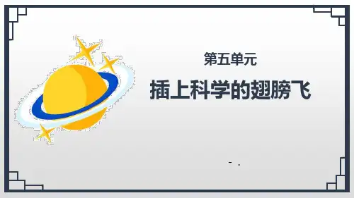 《插上科学的翅膀飞》PPT课件