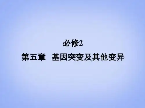 高考生物 第5章 第1节 基因突变和基因重组课件
