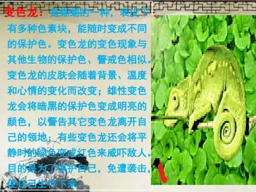 《变色龙》PPT课件