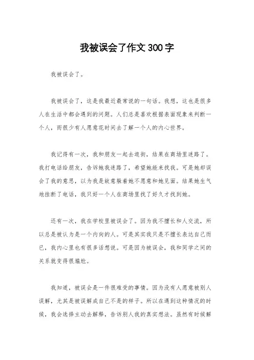 我被误会了作文300字
