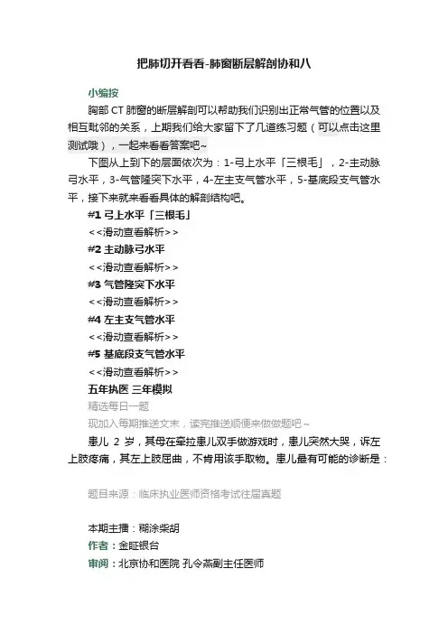 把肺切开看看-肺窗断层解剖协和八