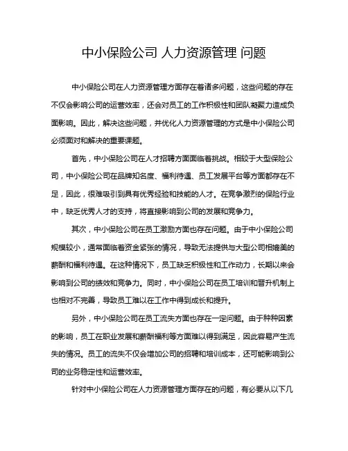 中小保险公司 人力资源管理 问题