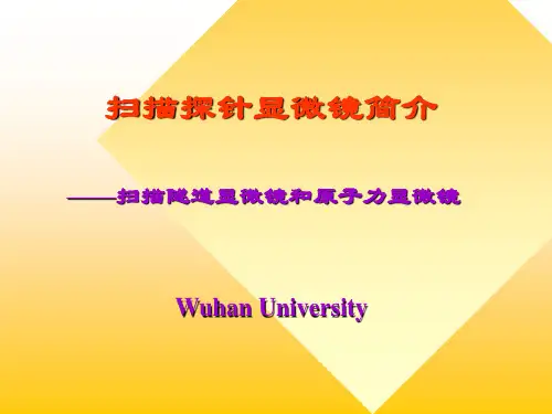 扫描探针显微镜简介