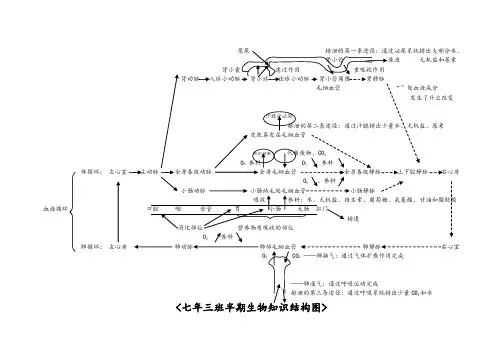 七下半期生物知识结构图