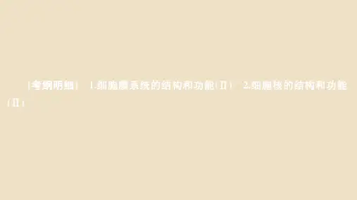 高考生物一轮复习课件必修1第二单元第5讲细胞膜和细胞核