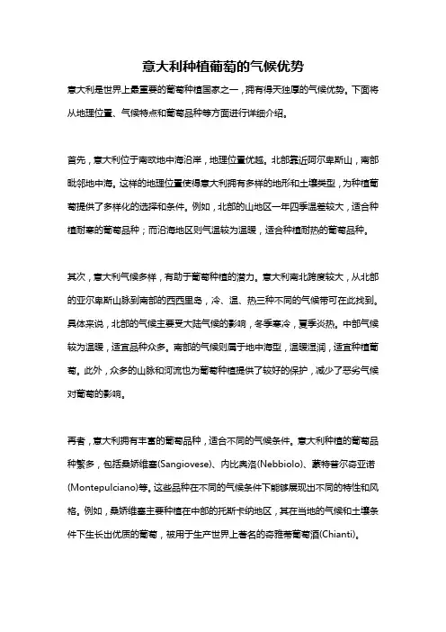 意大利种植葡萄的气候优势