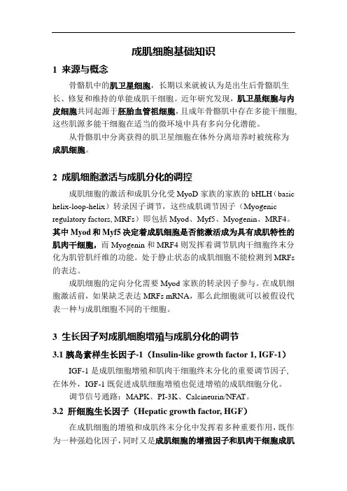 成肌细胞基础知识