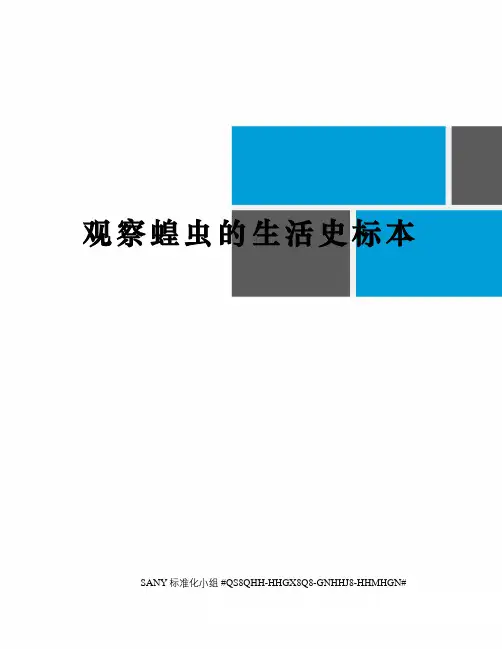 观察蝗虫的生活史标本精修订